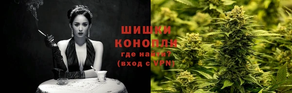 прущие крисы Вяземский