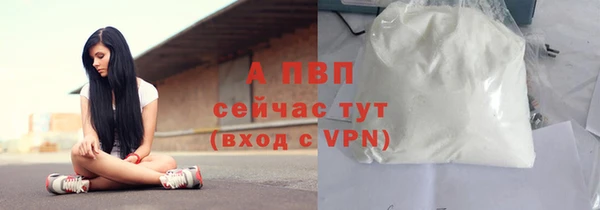 spice Вязники
