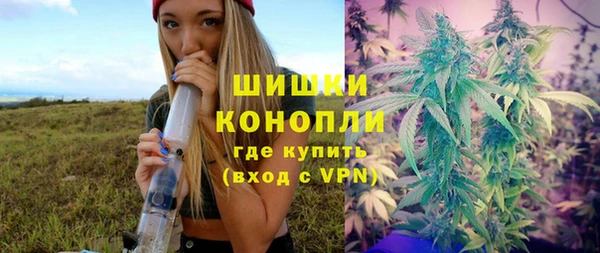 прущие крисы Вяземский