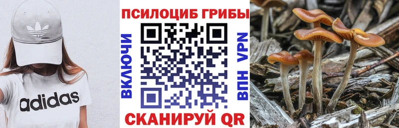 Галлюциногенные грибы ЛСД  hydra зеркало  Красногорск 